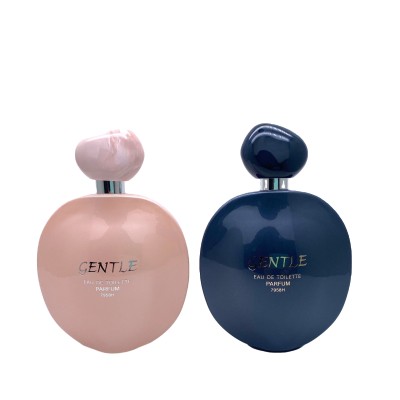 100 ml Luxury Perfume Spray Bottles