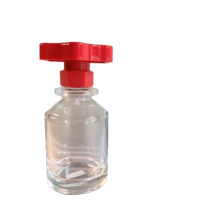 Custom Perfume Bottle 100 ml