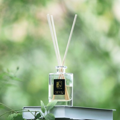 Private Label Hot Sale Square Shape Empty Jar Home Fragrance Glass Aroma Bottle Reed Diffuser