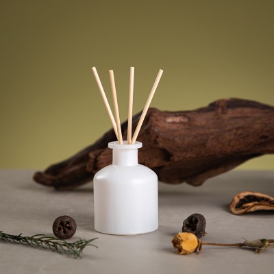 80ml 120ml 200ml Wholesale Ball Shape Perfume Bottle Empty Reed Diffuser Bottle